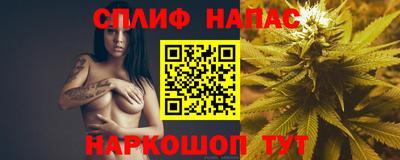 гашик Бийск