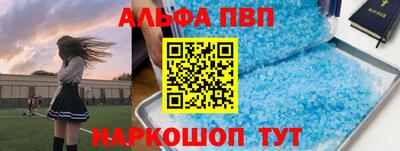 гашик Бийск
