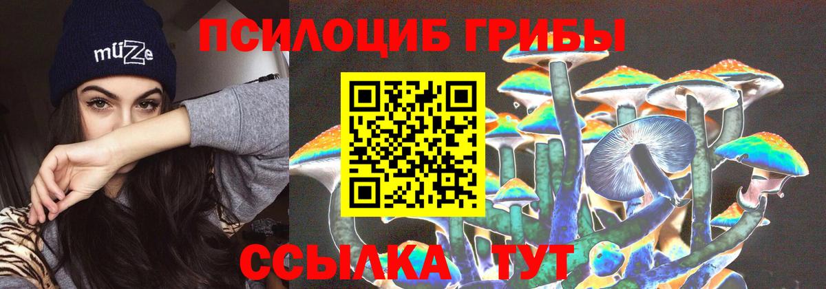 Галлюциногенные грибы MAGIC MUSHROOMS  Вход с VPN  Вольск  Псилоцибиновые грибы прущие грибы 