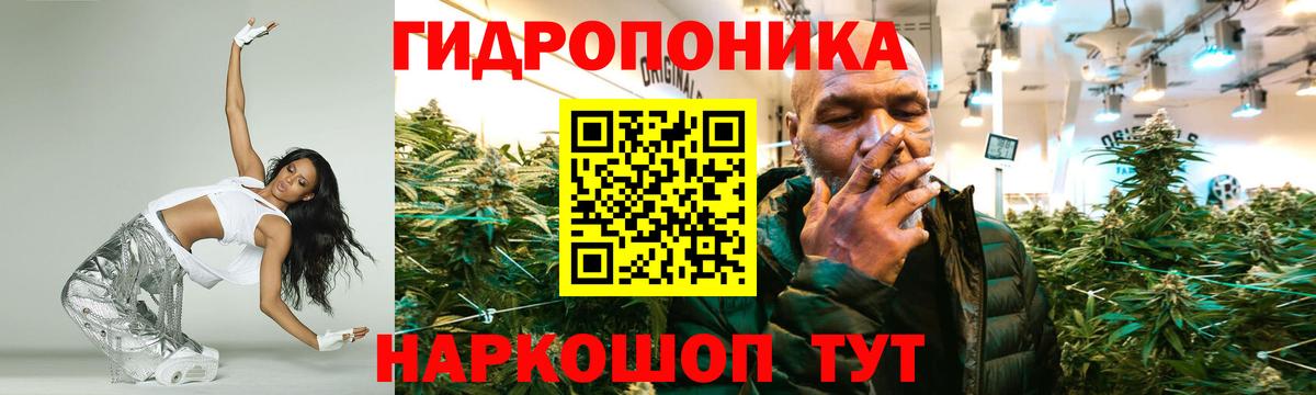 Бошки марихуана планчик Вольск